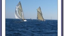 Moonbeam of Fife and Tuiga - Photo Credit - Gösta Odelberg